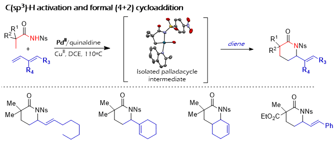 37) Palladium-catalyzed formal (4+2) cycloaddition between alkyl amides and dienes initiated by the activation of C(sp3)−H bonds 