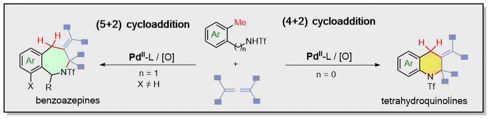 41) Assembly of Tetrahydroquinolines and 2-Benzazepines by Pd-Catalyzed Cycloadditions Involving the Activation of C(sp3)–H Bonds