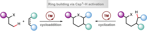 43) Transition-Metal-Catalyzed Annulations Involving the Activation of C(sp3)-H Bonds