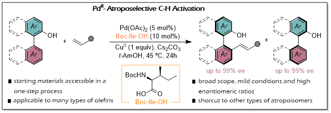 46) Axially Chiral 2-Hydroxybiaryls by Palladium-Catalyzed Enantioselective C–H Activation